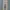 Burberry nova check pant women photo 1