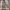 Burberry nova check pant women photo 8