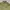 Canadian army military jacket photo 2