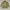 Canadian army military jacket photo 1