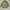 Canadian army military jacket photo 5