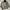 Yves Saint Laurent Jacket