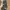 Coach Vintage Y2K Shoulder bag Wanita black brown photo 6