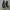 Sepatu Ventela 70s Ethnic High Black Natural Original photo 3