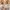 Coach Vintage Y2K Handbag Wanita tan brown photo 7