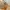 Coach Vintage Y2K Handbag Wanita tan brown photo 3