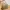 Coach Vintage Y2K Handbag Wanita tan brown photo 1