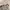 Coach Vintage Y2K Handbag Wanita tan brown photo 5