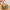 Coach Vintage Y2K Handbag Wanita tan brown photo 2
