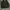 Zadig & Voltaire Keys Nylon Jacket photo 4