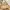 Coach Vintage Y2K Shoulder bag Wanita khaki pink photo 2