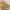 Coach Vintage Y2K Handbag Wanita gold khaki photo 2