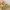 Coach Vintage Y2K Handbag Wanita Gold Khaki