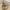 Coach Vintage Y2K Handbag Wanita gold khaki photo 3