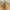 Coach Vintage Y2K Handbag Wanita gold khaki photo 4