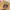 Coach Vintage Y2K Handbag Wanita gold khaki photo 7