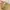 Coach Vintage Y2K Handbag Wanita gold khaki photo 6