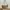 Coach Vintage Y2K Handbag Wanita gold khaki photo 1