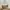 Coach Vintage Y2K Handbag Wanita Gold Khaki