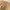 Coach Vintage Y2K Handbag Wanita gold khaki photo 5