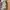 Coach Vintage Y2K Shoulder bag Wanita tan brown photo 7