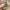 Coach Vintage Y2K Shoulder bag Wanita tan brown photo 8