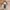 Coach Vintage Y2K Shoulder bag Wanita tan brown photo 1