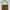 Luxury Minimalist Crossbody Bag Wanita brown photo 3