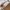 Luxury Minimalist Crossbody Bag Wanita brown photo 4