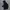 Jacket Outdoor Daiz Sidepocket Waterproof photo 2