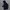 Jacket Outdoor Daiz Sidepocket Waterproof