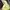 ZARA Futurist Summer dress Wanita yellow photo 5
