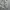 US AIR FORCE BDU FIELD JACKET TIGER STRIPE DIGITAL CAMOUFLAG photo 4