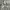 US AIR FORCE BDU FIELD JACKET TIGER STRIPE DIGITAL CAMOUFLAG photo 3