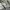 US AIR FORCE BDU FIELD JACKET TIGER STRIPE DIGITAL CAMOUFLAG photo 6