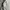 US AIR FORCE BDU FIELD JACKET TIGER STRIPE DIGITAL CAMOUFLAG photo 7