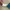 Kaos Outdoor Marmot Baselayer Blue Hiking Trekking Kaos Olah photo 6