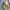 US ARMY MULTICAM AIRCREW  COMBAT JACKET photo 2