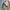 US ARMY MULTICAM AIRCREW  COMBAT JACKET