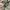 US ARMY MULTICAM AIRCREW  COMBAT JACKET photo 8