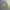 US ARMY MULTICAM AIRCREW  COMBAT JACKET photo 6