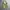 US ARMY MULTICAM AIRCREW  COMBAT JACKET photo 1