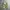 US ARMY MULTICAM AIRCREW  COMBAT JACKET