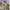 US ARMY MULTICAM AIRCREW  COMBAT JACKET photo 5