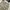 SHORT CARGO PANTS FIELD UTILITY OLD NAVY photo 3