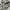 Y2K JORTS SHORT PANTS CARGO AISOLITELY photo 3