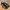Adidas F50 Club FxG photo 7