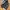 Adidas F50 Club FxG photo 3