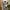 Long dress  photo 1