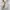 jaket harrington BURBERRYS nova check uk l authentic photo 1